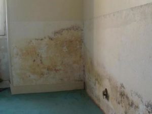 Humidité ascensionnelle